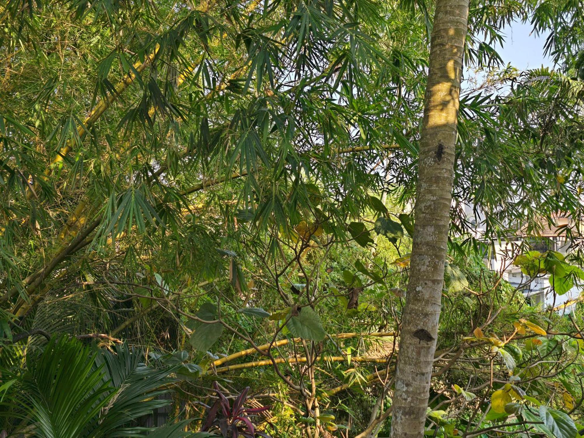 Bella Homestay Kerala Alappuzha Exterior foto