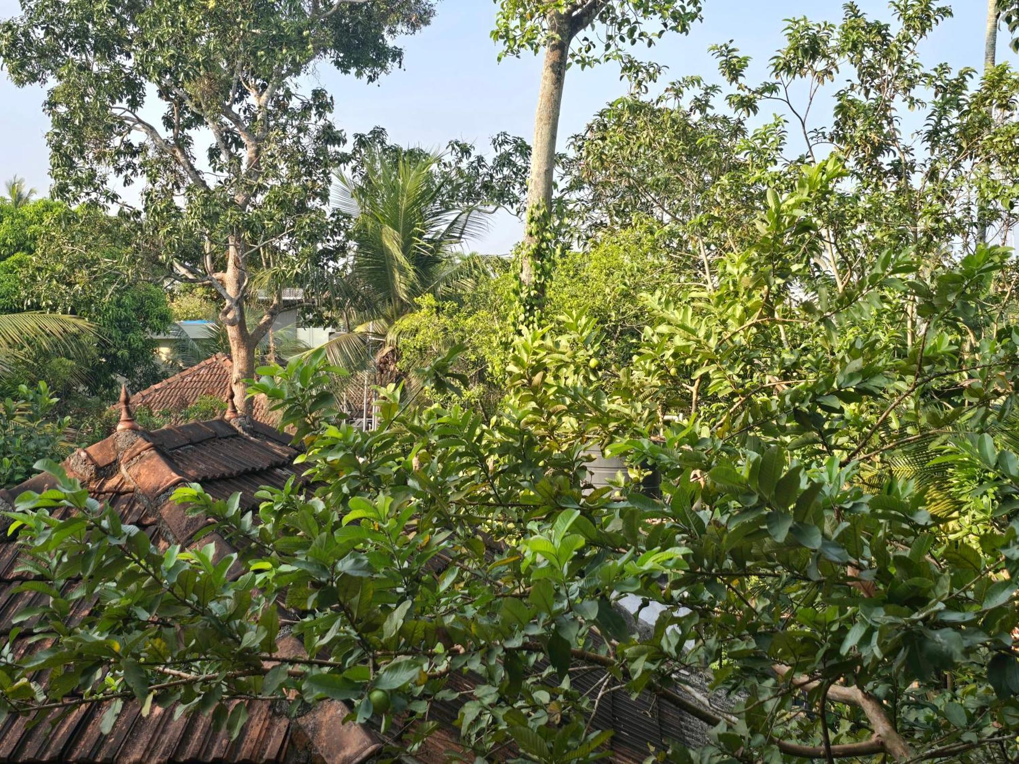Bella Homestay Kerala Alappuzha Exterior foto