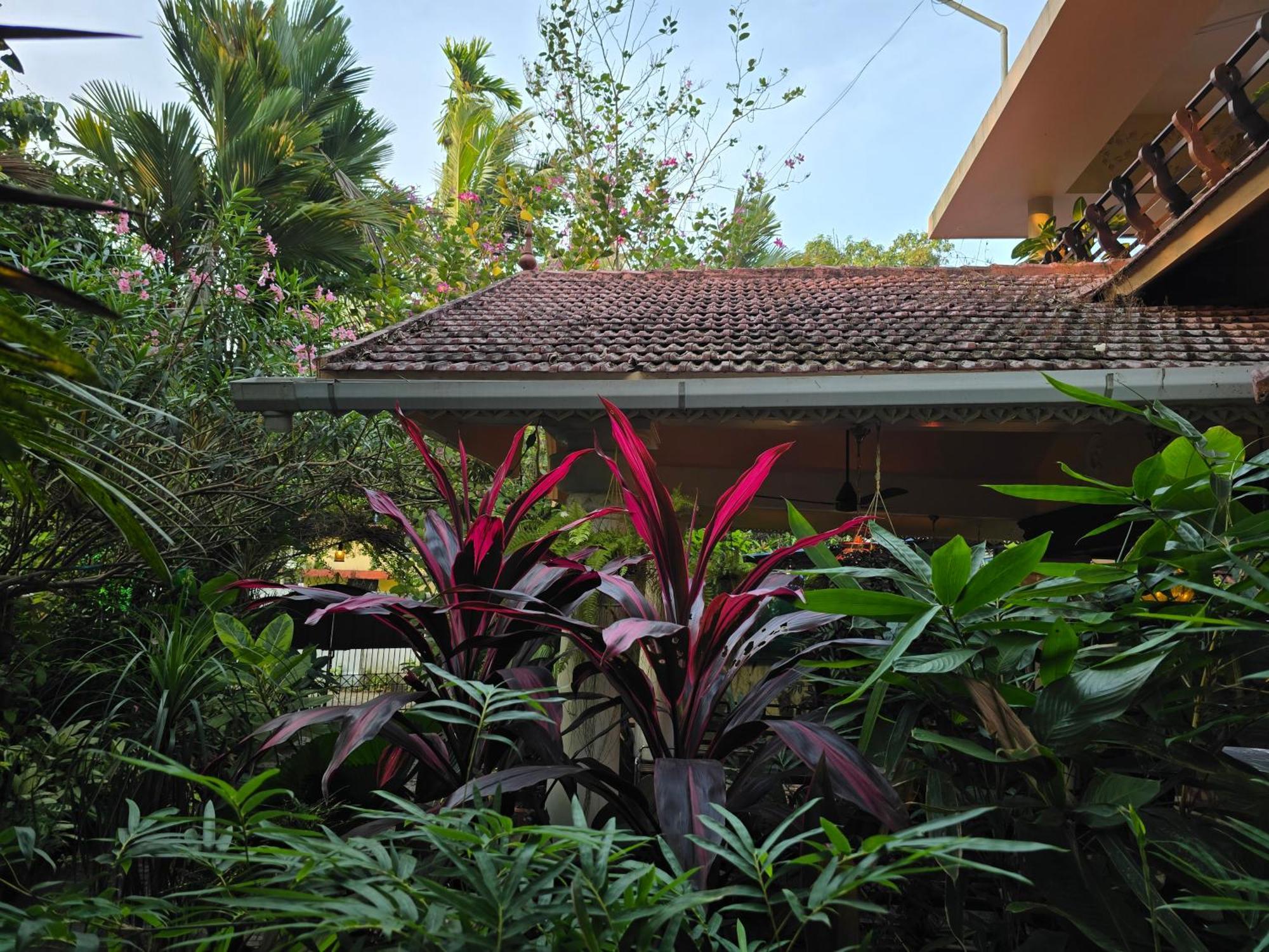 Bella Homestay Kerala Alappuzha Exterior foto