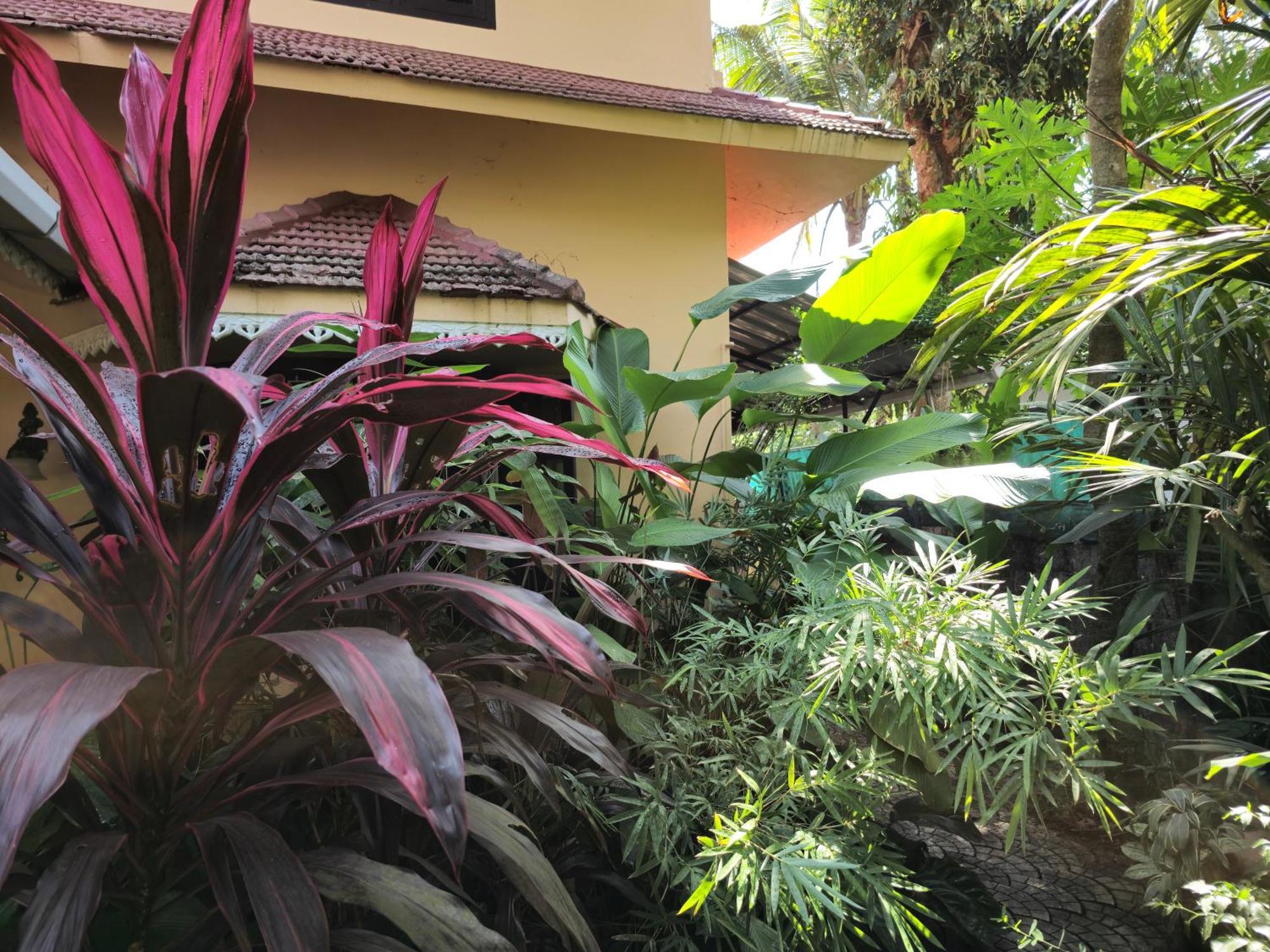 Bella Homestay Kerala Alappuzha Exterior foto